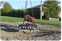 Big Dog on a swing
